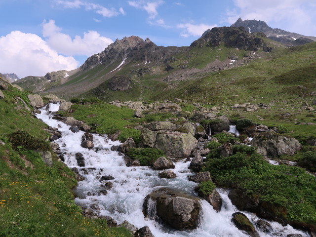 Futschölbach (20. Juli)