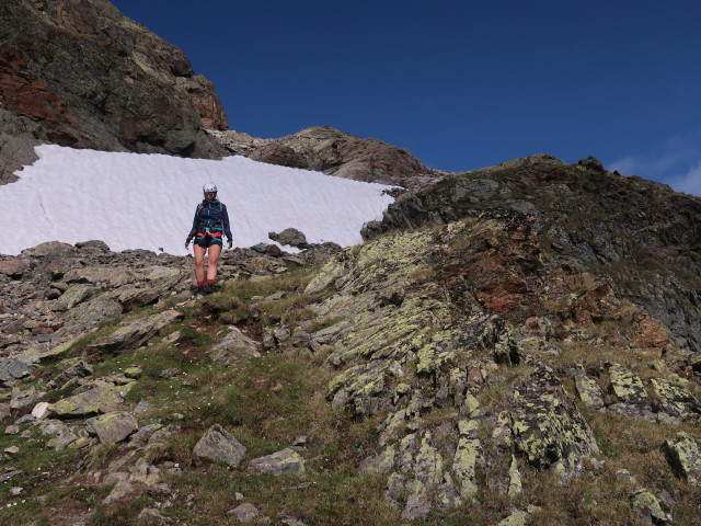 Ursa zwischen Pfannknecht und Jamtalhütte (21. Juli)