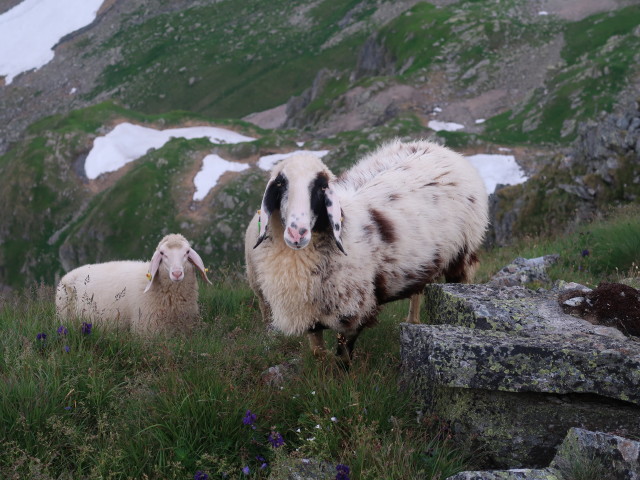 Scharnock, 2.498 m (27. Juli)