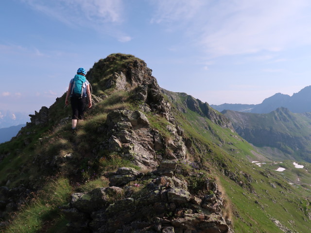 Sabine zwischen Krautgartscharte und Pietrach (27. Juli)