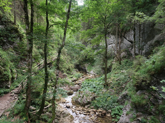 Bärenschützklamm