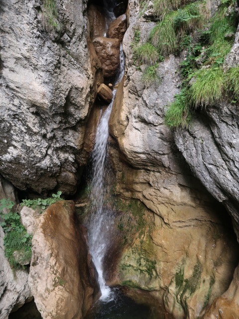 Bärenschützklamm