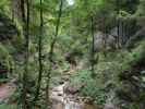 Bärenschützklamm