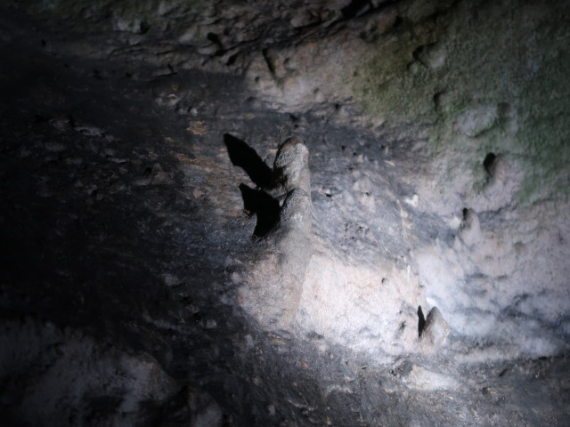 Tropfsteinhöhle Alland