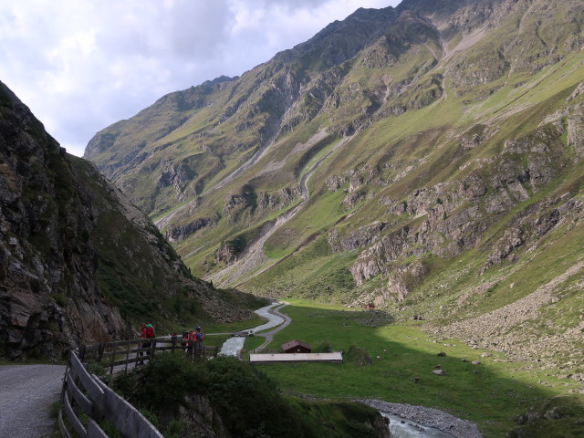 Hintere Sulztalalm (22. Aug.)