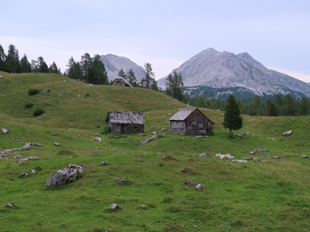 Brunnalm, 1.783 m (24. Aug.)