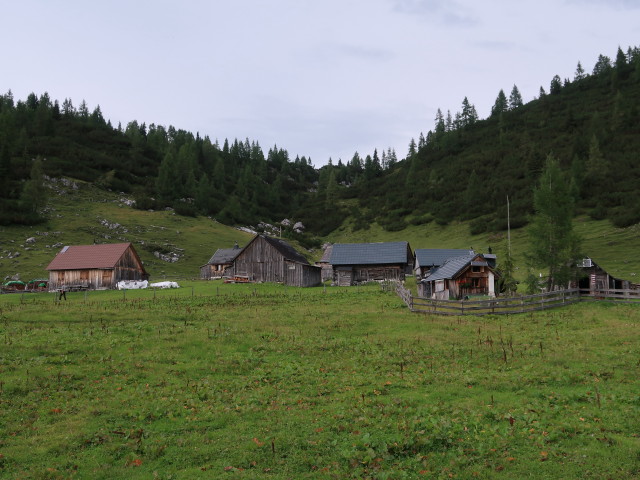 Niederhüttenalm, 1.684 m (24. Aug.)