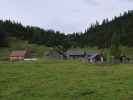 Niederhüttenalm, 1.684 m (24. Aug.)