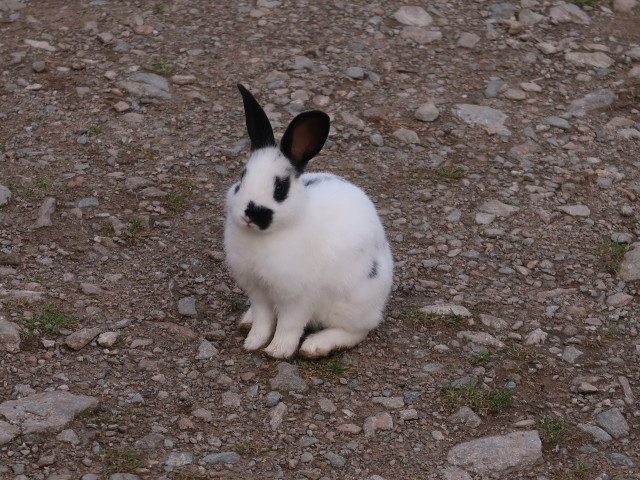 Duisitzkar (30. Aug.)