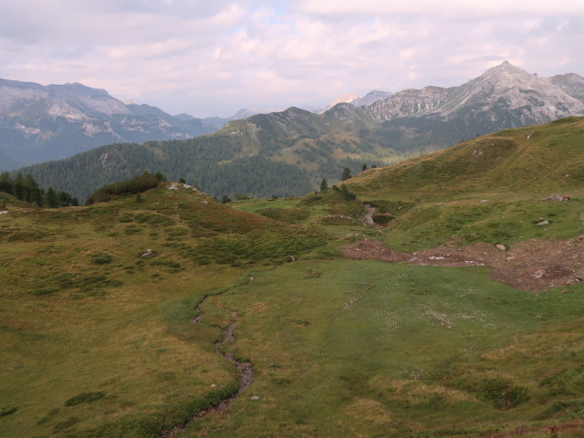 Twenger Alm (1. Sep.)
