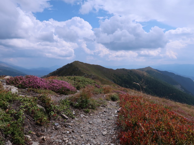 zwischen Kleinem Gurpitscheck und Karneitschenhöhe (1. Sep.)