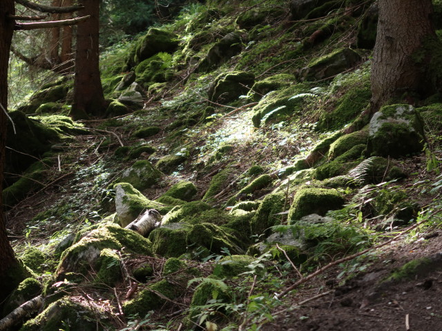 zwischen Birglberggschwandter und Zemmtal (16. Sept.)