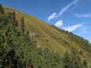 zwischen Kesselalm und Birglbergalm (16. Sept.)