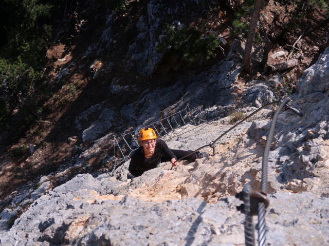 Gebirgsvereins-Klettersteig: Kathrin in der Pannoniawand