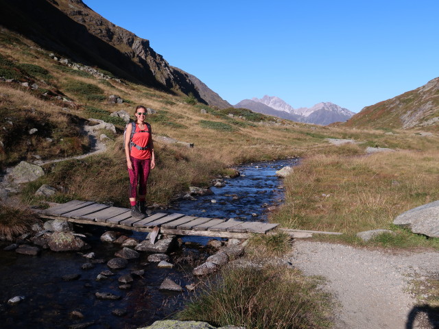 Ursa am Weg 131 zwischen Franz-Senn-Hütte und Höllenrachen-Klettersteig (21. Sep.)