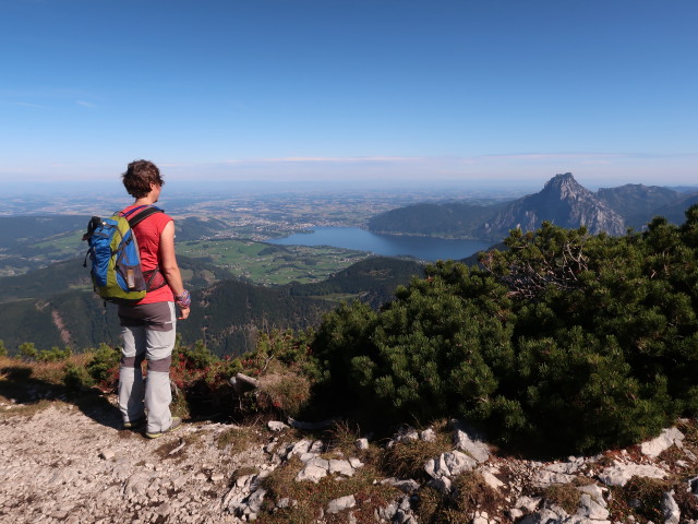 Carmen zwischen Kranabethhütte und Alberfeldkogel