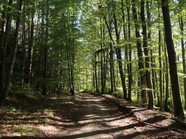 zwischen Gespitzter Riegel und Aussichtsturm Rosalia