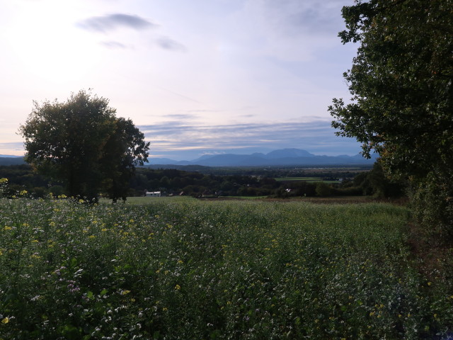 zwischen Süßenbrunner Graben und Ofenbach