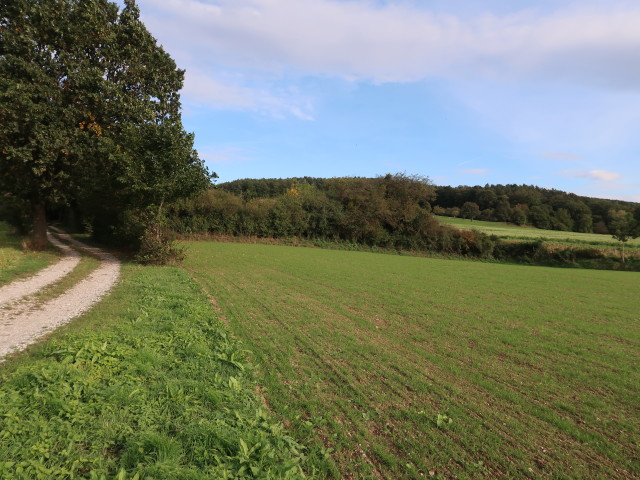 zwischen Süßenbrunner Graben und Ofenbach