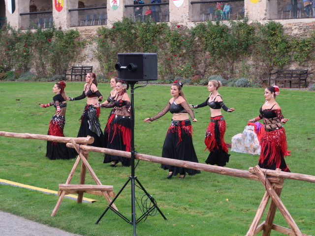 Fahima Hexen im Turnierhof