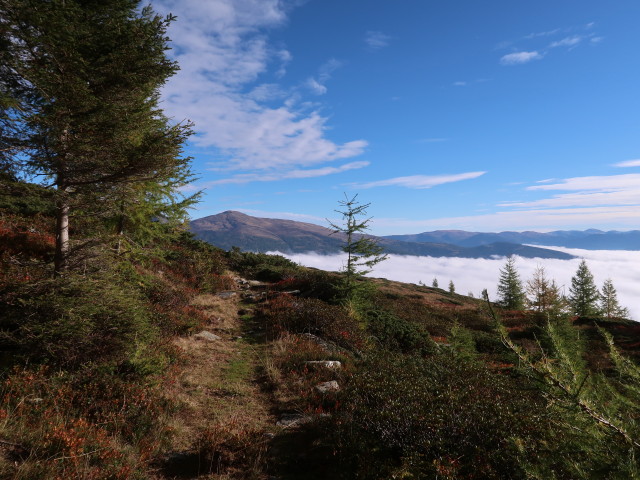 zwischen Bartlbauerhütte und Bartlmann