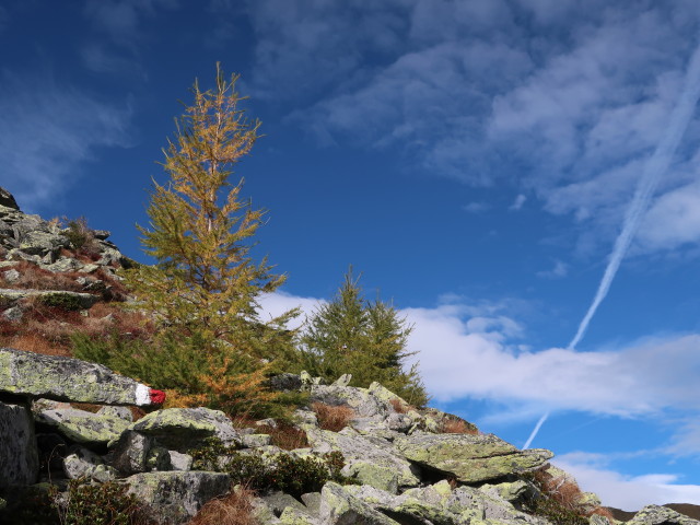 zwischen Bartlbauerhütte und Bartlmann