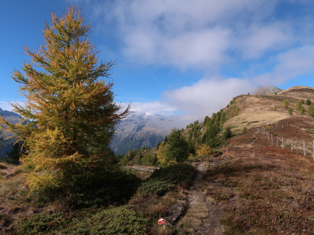 zwischen Bartlmann und Talggernock