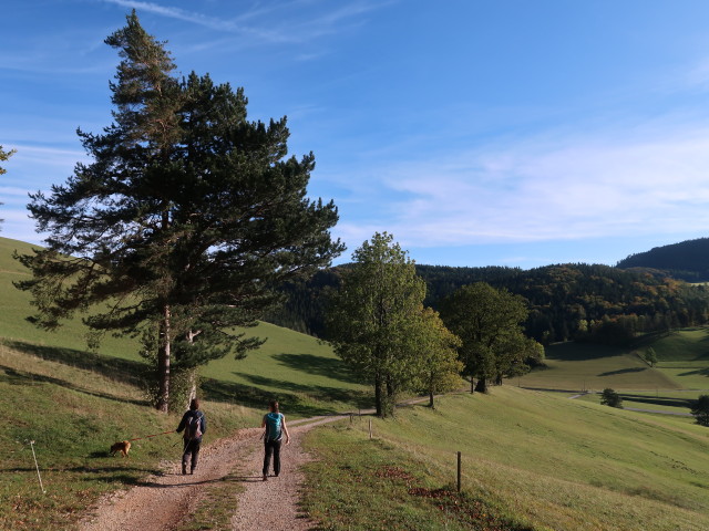 Hannelore und Sabine zwischen Hausstein und Grünbacher Sattel