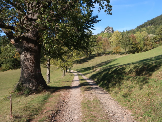 zwischen Hausstein und Grünbacher Sattel