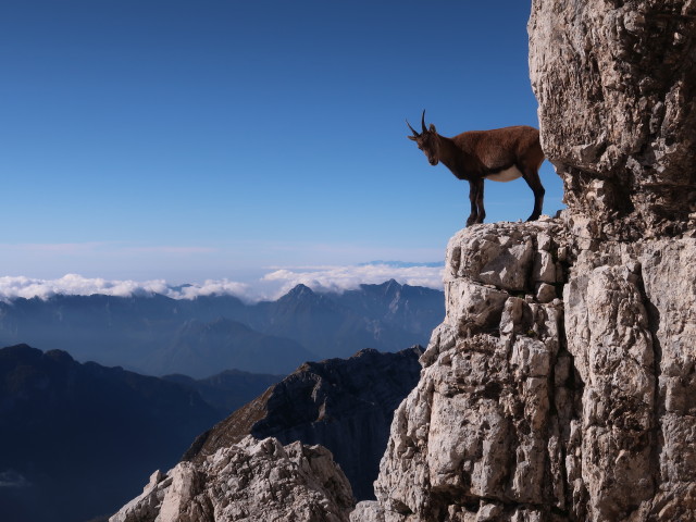 neben der Via Ferrata Scala A. Pipan (12. Okt.)