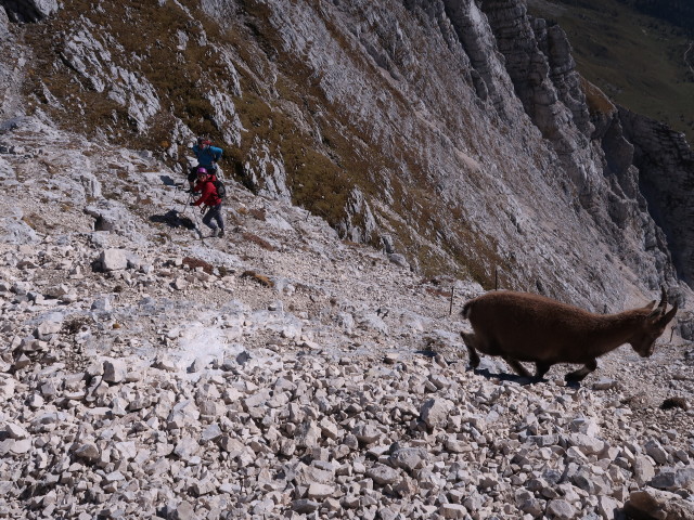 Via Ferrata Scala A. Pipan: Birgit und Thomas zwischen Ausstieg und Leiter (12. Okt.)