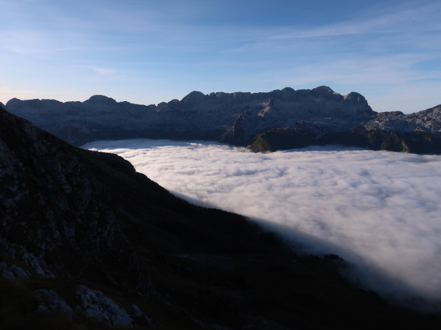 Kaningruppe (13. Okt.)