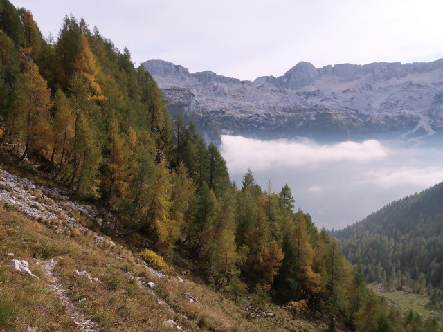 zwischen La Plagnota und Sella Nevea (13. Okt.)