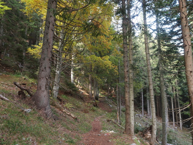 zwischen La Plagnota und Sella Nevea (13. Okt.)