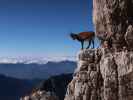 neben der Via Ferrata Scala A. Pipan (12. Okt.)