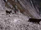 Via Ferrata Scala A. Pipan: Birgit und Thomas zwischen Ausstieg und Leiter (12. Okt.)