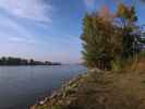 Donau zwischen Einlaufbauwerk Langenzersdorf und Korneuburg