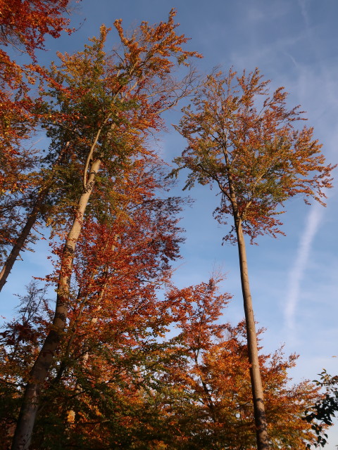 zwischen Mandling und Ortmann