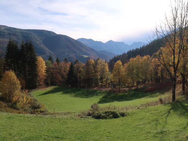 zwischen Stellwiese und Prieler