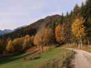 am Weg 269 zwischen Prieler und Stellwiese