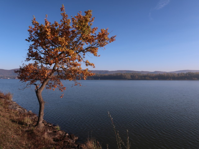 zwischen Kraftwerk Greifenstein und Tulln