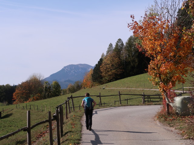 Sabine zwischen Bahnhof Payerbach-Reichenau und Hochberger