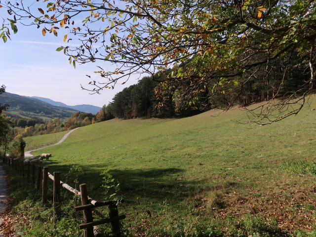 zwischen Bahnhof Payerbach-Reichenau und Hochberger