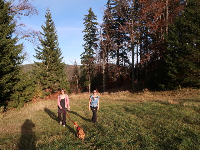 Hannelore und Sabine zwischen Waldburganger-Hütte und Schneedörfl