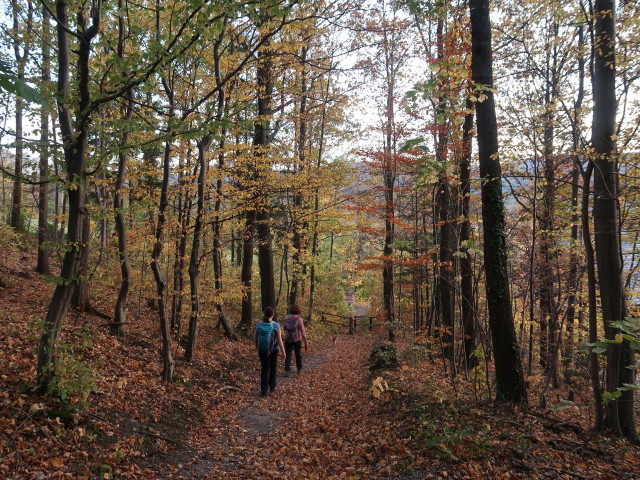 Sabine und Hannelore zwischen Waldburganger-Hütte und Schneedörfl