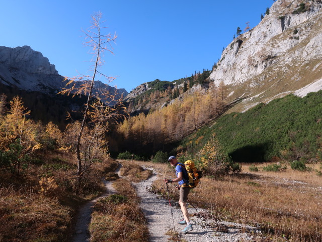 Herbert in der Voisthalergasse (26. Okt.)