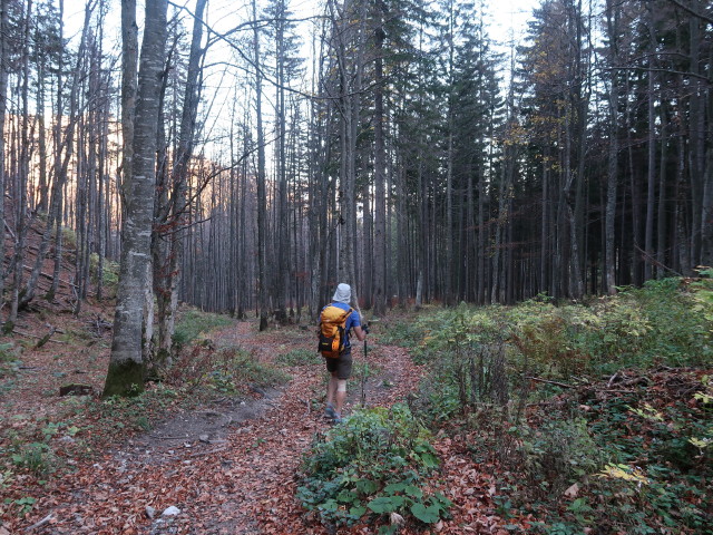 Herbert zwischen Häuselalm und Sackwaldboden (27. Okt.)