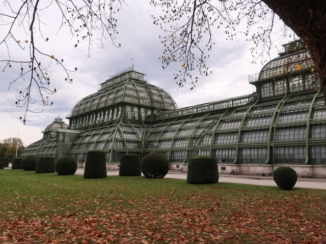 Palmenhaus