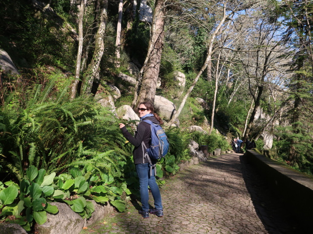 Sabine zwischen Estrada da Pena und Castelo dos Mouros in Sintra (16. Nov.)