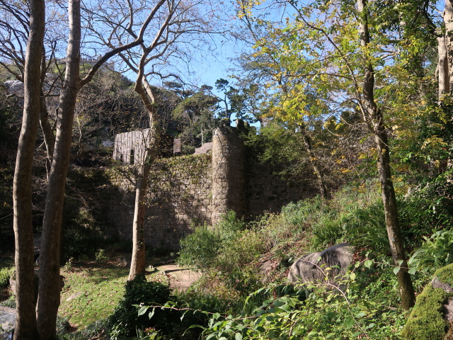 Castelo dos Mouros in Sintra (16. Nov.)